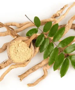 Sâm Malaysia Wild TONGKAT ALI 30 Năm – ĐỈNH CAO SỨC KHỎE, MÓN QUÀ GIÁ TRỊ