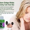 su-dung-Ginkgo Biloba-de-nao-bo-duoc-khoe-manh
