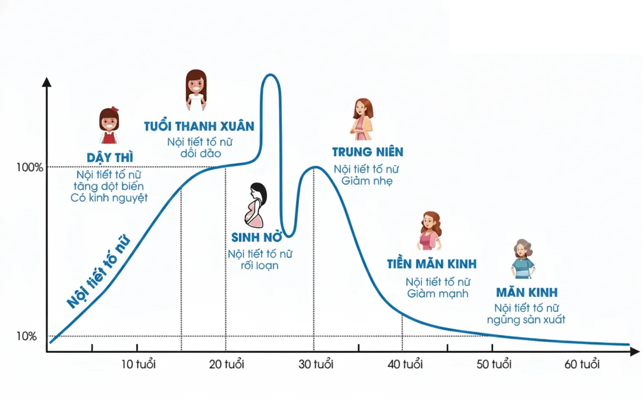 Khi nào nên bắt đầu dùng thuốc rắn Thái Lan số 8 Tiaw King Tan để ngăn ngừa suy giảm nội tiết sớm? 9 suy-giam-noi-tiet-to