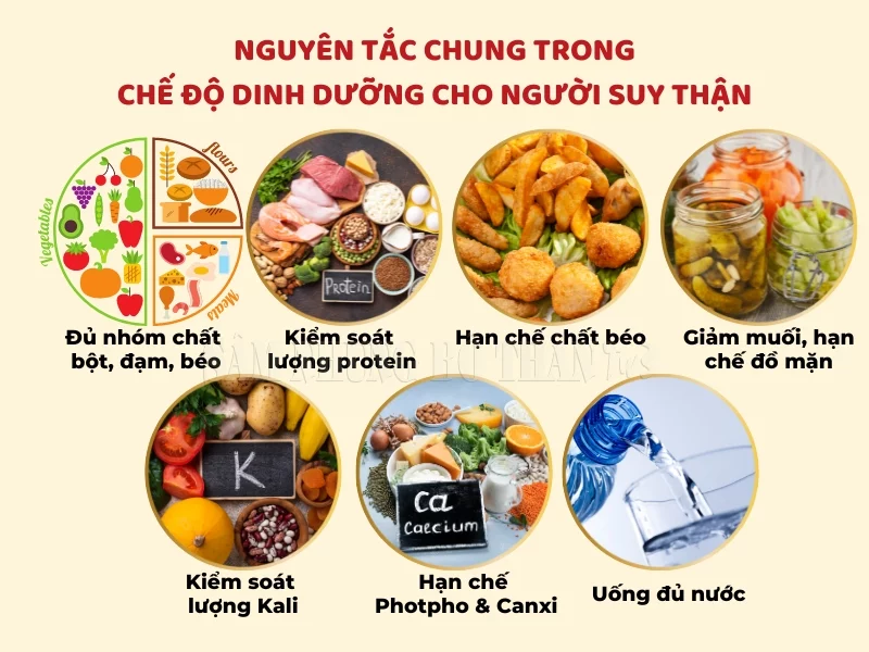 Poo Sen Wan - Thuốc Rắn Thái Lan Số 6 - Trị Chứng Thận Suy, Thận Yếu, Rối Loạn Tiền Đình 15 suy- than-poo-sen-wan