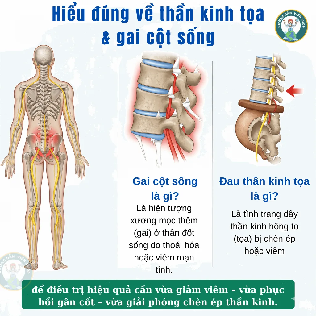 than-kinh-toa-gai-cot-song 