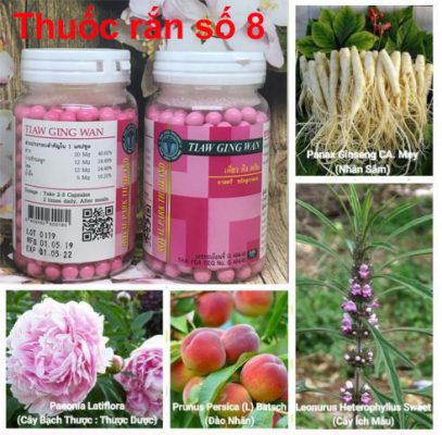 Thành phần thuốc rắn thái lan số 8 tiaw ging wan