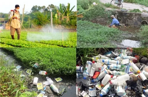 Mua 10 thuốc rắn Hoàng Gia Thái Lan chính hãng giá rẻ tại Hồ Chí Minh 11 thuc-pham-ban-thuoc-ran-thai-lan