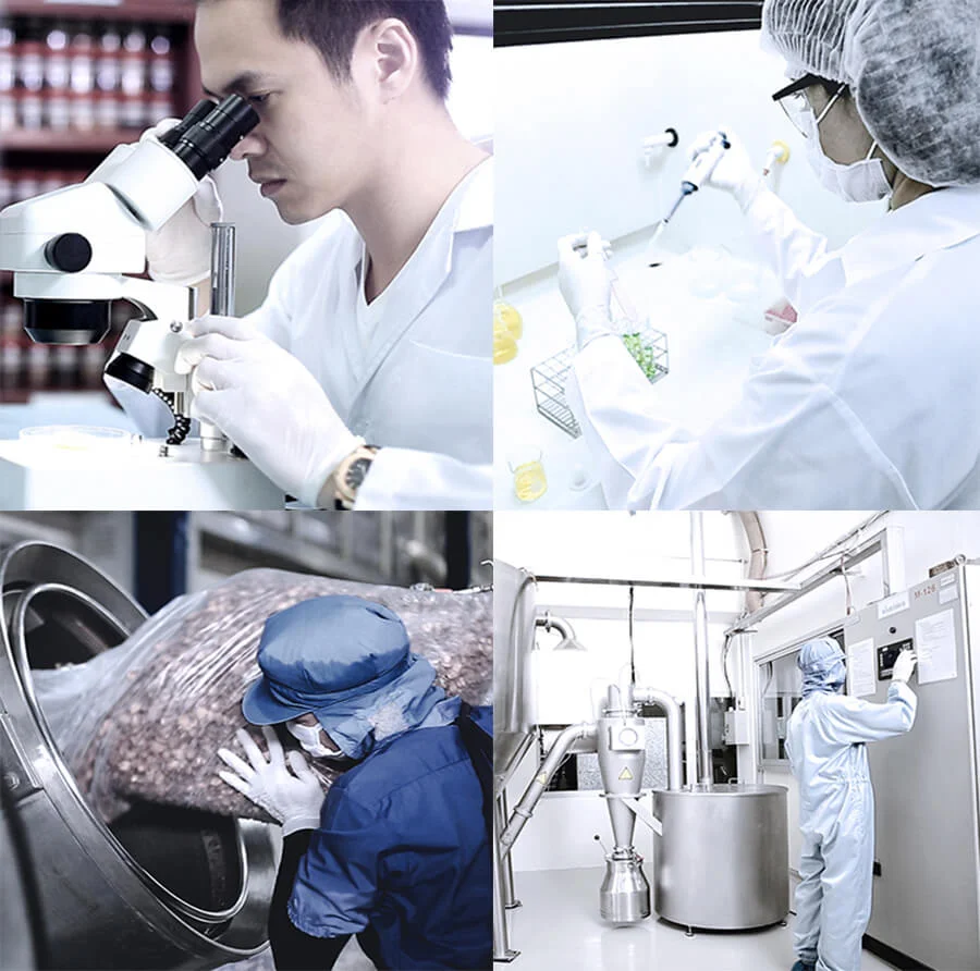 thuoc-ran-siam-park-thai-lan-chinh-hang (9) 2