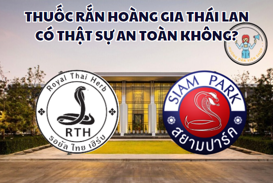 Thuốc Rắn Hoàng Gia Thái Lan Có Thực Sự Tốt Và An Toàn Không?