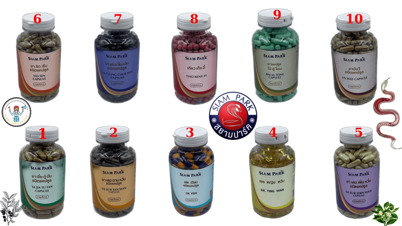 thuoc-ran-thai-lan-siam-park-huong-dan-vien-shop