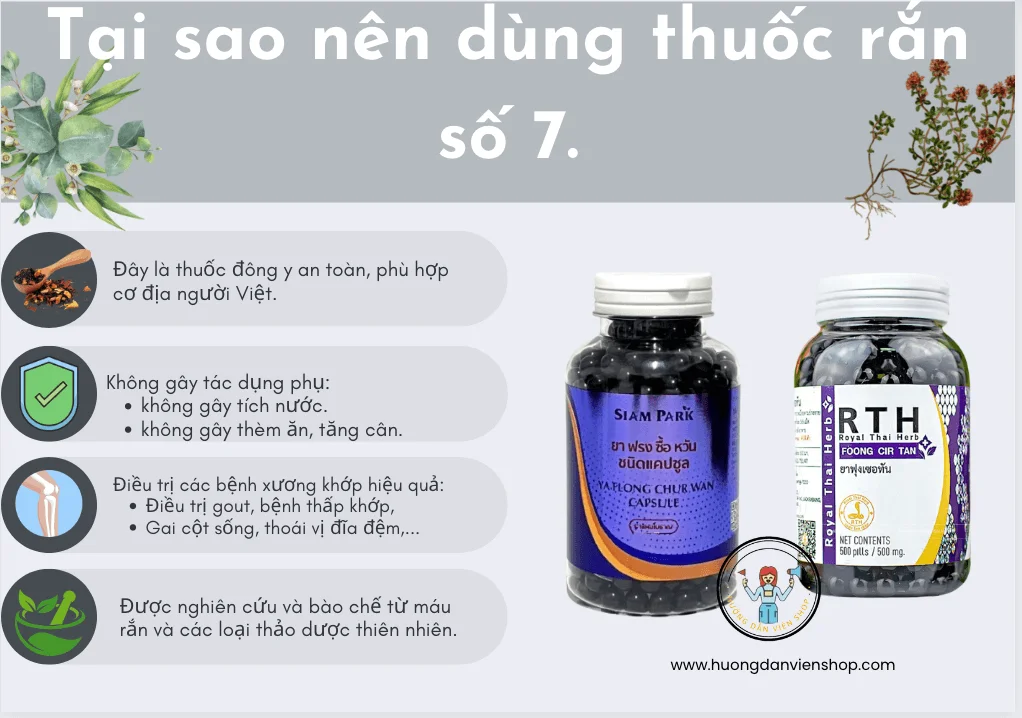 thuoc-ran-thai-lan-so-7-thuoc-xương-khop