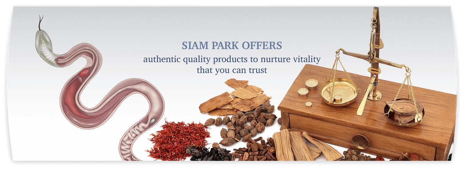 thuoc-ran-siam-park 2