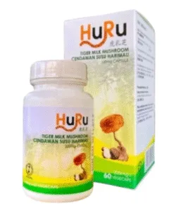 Tiger Milk Mushroom HuRu – Giải Pháp Tự Nhiên Cho Viêm Xoang, Hen Suyễn Mũi, Ho, Viêm Họng