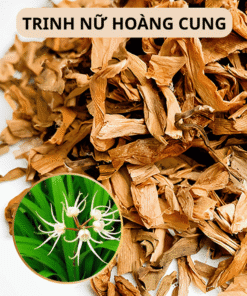 trinh-nu-hoang-cung