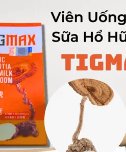 Viên Uống Nấm Sữa Hổ Hữu Cơ TIGMAX 420mg – Tăng Cường Sức Khỏe Tự Nhiên