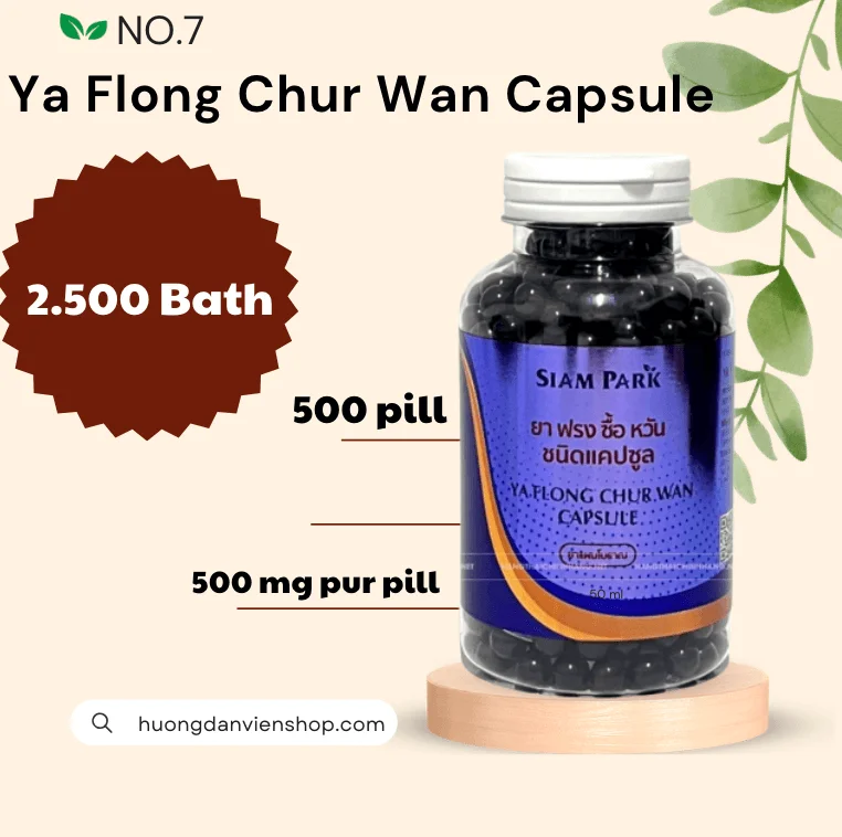 thuoc-ran-thai-lan-so-7-foong-cir-tan-dieu-tri-benh-gout