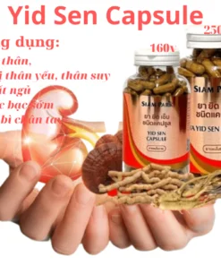 ya-yid-sen-capsule-thuoc-ran-thai-lan
