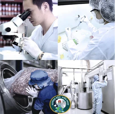 Mua 10 thuốc rắn Hoàng Gia Thái Lan chính hãng giá rẻ tại Hồ Chí Minh 12 quy-trinh-san-xuat-thoc-ran-so-1