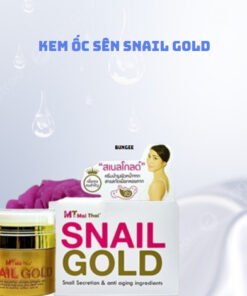 Snail-gold-mai-thai-kem-oc-sen-thai-lan